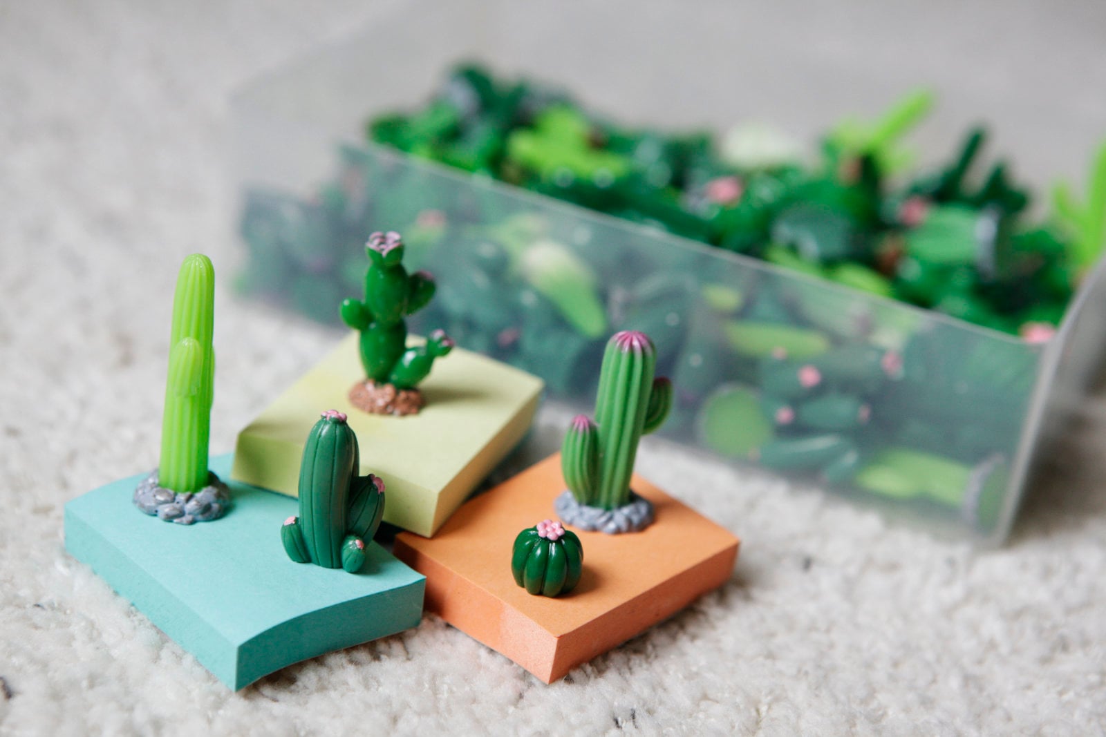 A box of tiny plastic cacti used as a facilitation ritual.